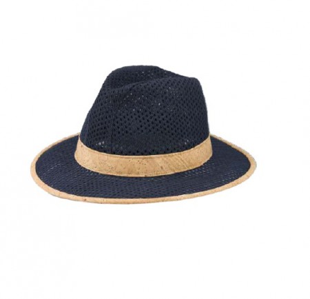 Ref. 118